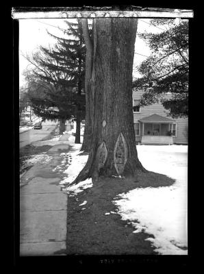 Winter street scene