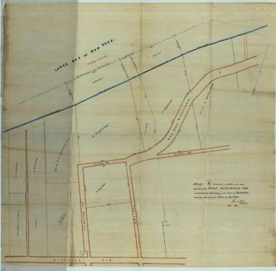 Survey of lands under water for Hegewisch, Adolfo