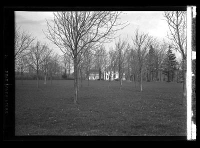 Bleak landscape of leafless trees at Johnston Hall State Historic Site