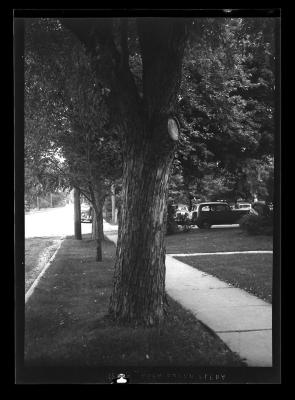 View of a city street with grass and trees