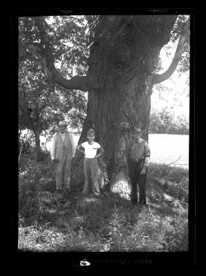 Three figures posed in front of a tree