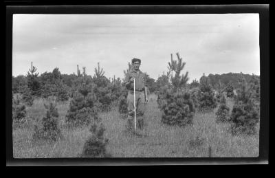 Man standing among pines