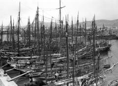 Fishing and Other Sailboats in Harbor. Piraeus, Greece