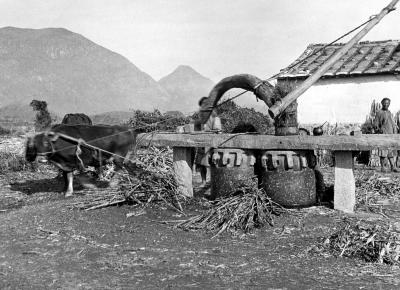 Sugarcane crusher, China