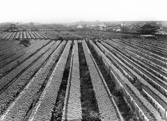 Section of 40,000 examination halls, Nanking, China