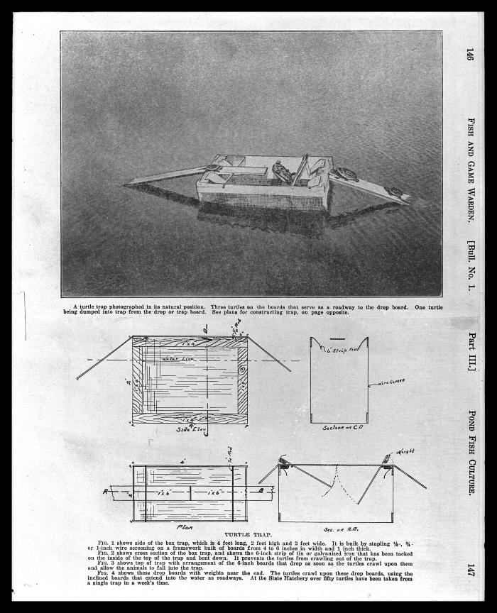 Turtle Trap Diagram