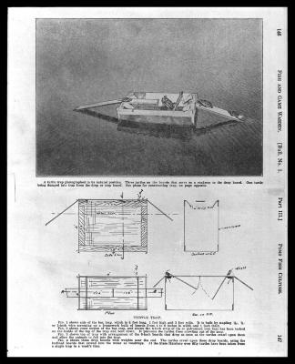 Turtle Trap Diagram