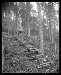 Fire Observer Walter C. Rive, climbing one of the many stairways of the Ampersand [sic] trail