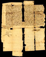Probated will of William Habens, 1746