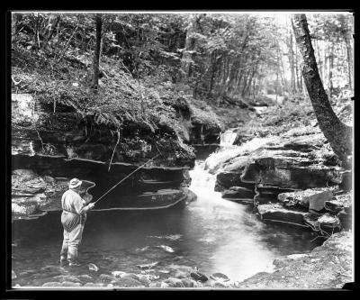Man trout fishing in small river