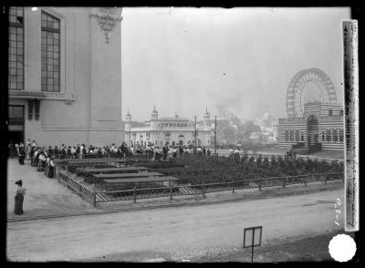 New York State nursery at Louisiana Purchase Exposition showing screens used to shade evergreen seed beds