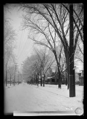 Telephone poles along snow-covered road