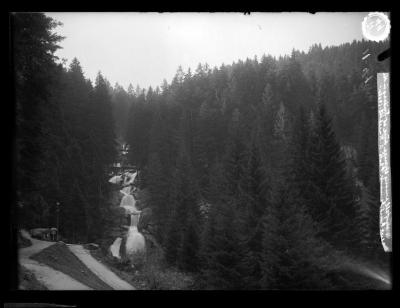 Waterfall among spruce trees at Triberg, Germany in the Black Forest