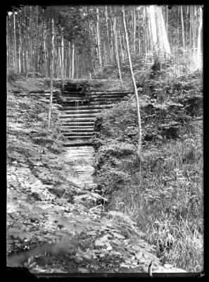 Man-made sewage drain in forest