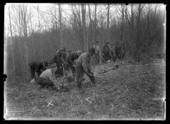 Reforesting state land with young trees grown in the state nurseries.  The men work in teams each performing only one planting operation