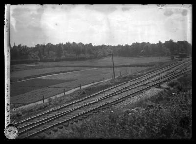 West point Saranac nursery