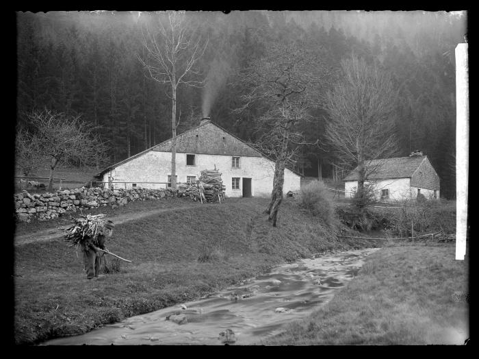 Laying in a wood supply for winter.  French Vosges near Oserardner