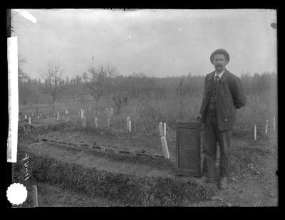 Boxes for showing root growth of trees experimental station