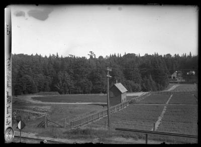 East end Saranac nursery