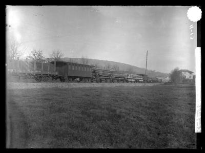 A train load of timber at Broetzinger in the Black Forest