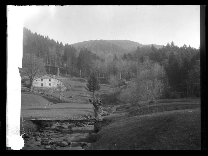 Laying in a wood supply for winter French Vosges near Oserardner