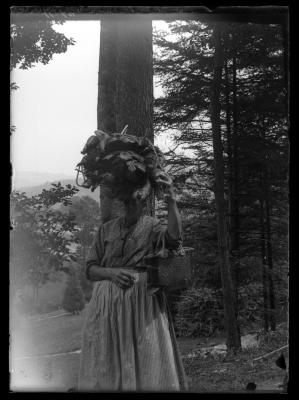 Laying in a wood supply for winter French Vosges near Oserardner