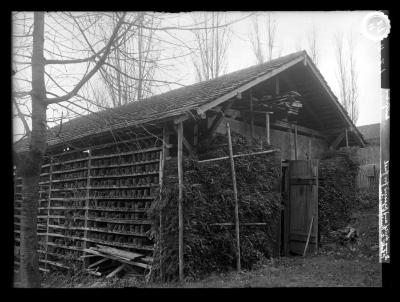 Dung dried and pressed for fuel Switzerland