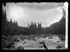 Stream in the Adirondack Mountains