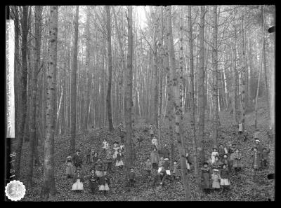 Nature study class in the forest near Winterthur, Switzerland