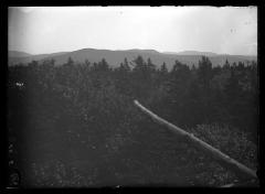 Panoramic view of a fallen tree and mountains