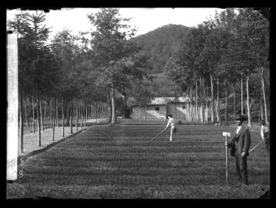 Government nursery Camaldi weeding transplant beds