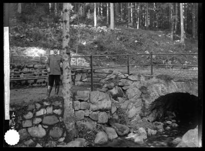 A forest bridge at Munster in the German Vosges