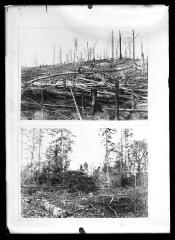 Forestry - slash and results of burn (copied from prints)