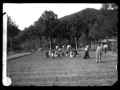 Government nursery, Camaldi, weeding transplant beds