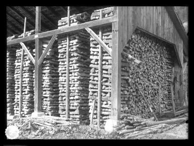 Dung dried and pressed for fuel