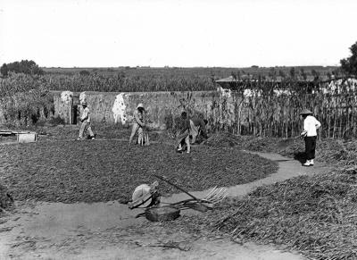 Threshing floor, China