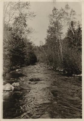 The Neversink, Catskills