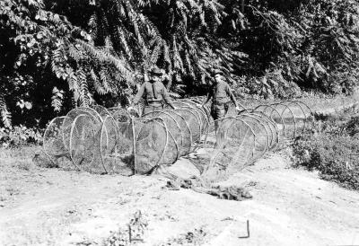 Illegal nets taken out of the Hudson River