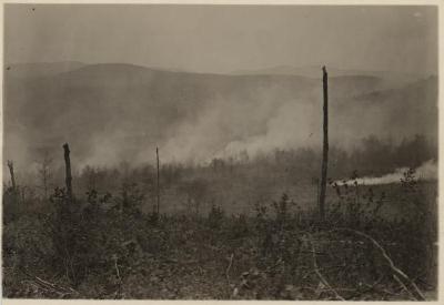 Forest fire in the Catskills (burning fallow)