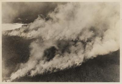 Aerial view of forest fire