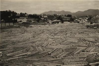 Logs in mill pond at Lake Placid, N.Y.