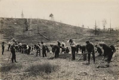 Men planting trees near St. Regis Lake