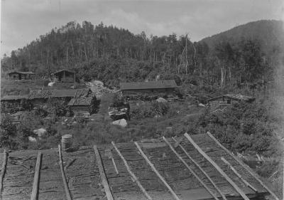 Lumber camp Santa Clara Lumber Co. on Mt. Seward