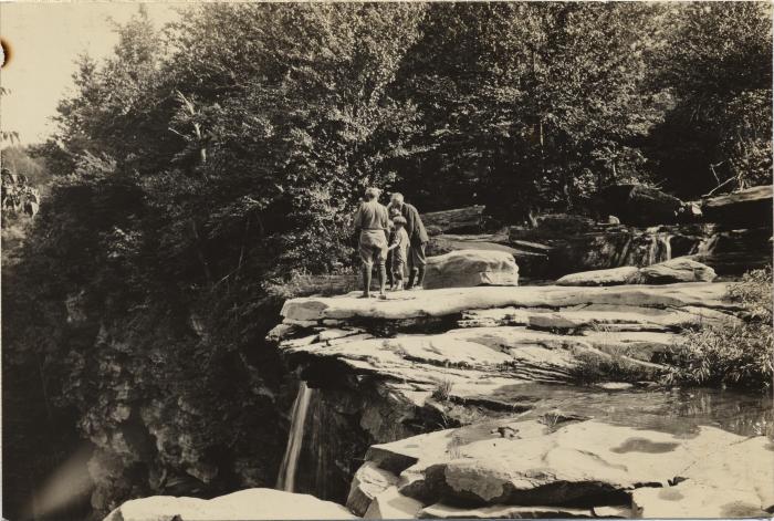 On the rocky brow of Haines Falls