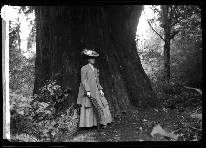 Woman in front of a large cedar tree in Stanley Park, Vancouver, British Columbia