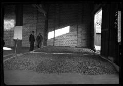 Conrad Appel's engine room and machine for washing nuts, Darmstadt, Germany