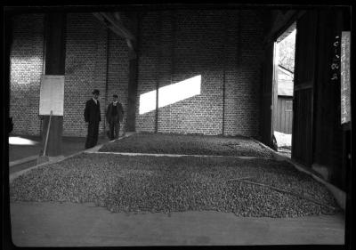 Conrad Appel's engine room and machine for washing nuts, Darmstadt, Germany