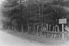 Roadside exhibit, Blister rust, near Conklingville, NY