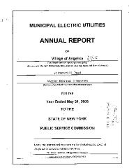 Municipal electric utilities annual report of the Village of Angelica to the Public Service Commission, 2005