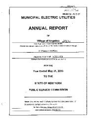 Municipal electric utilities annual report of the Village of Angelica to the Public Service Commission, 2006